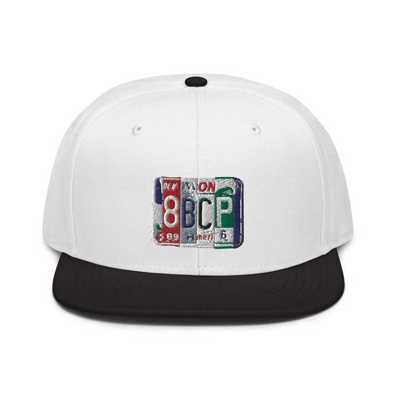 LICENSE PLATE - SNAPBACK